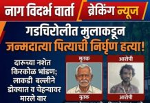 कौटुंबिक कलहातून पित्याची हत्या; दारूच्या नशेत मुलाने लाकडी बल्लीने डोके ठेचले, आरोपी मुलगा पोलिसांच्या ताब्या